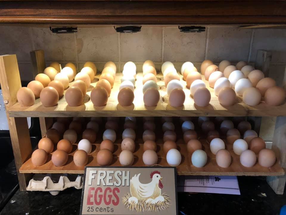 UNWASHED COUNTER EGGS