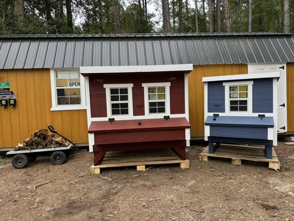 large coop - 15 CHICKENS