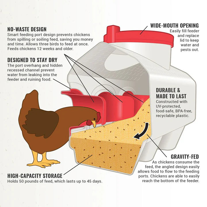 OverEZ Chicken feeder