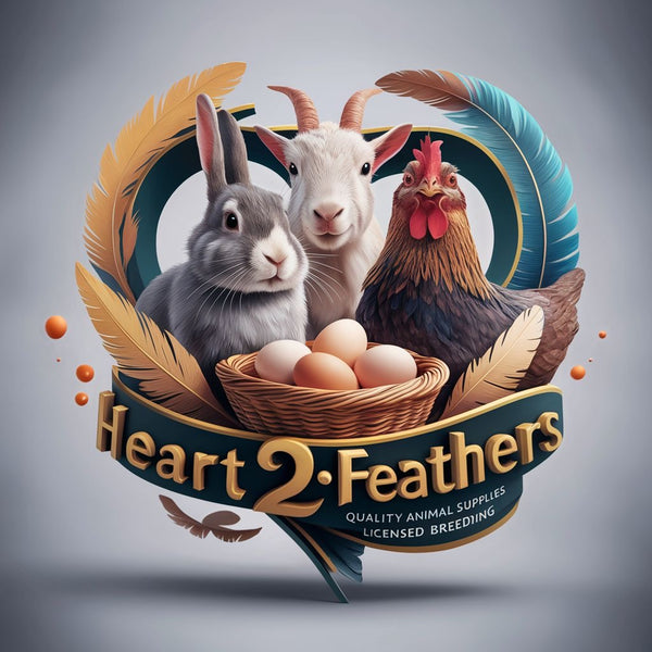 HEART2FEATHERS LLC
