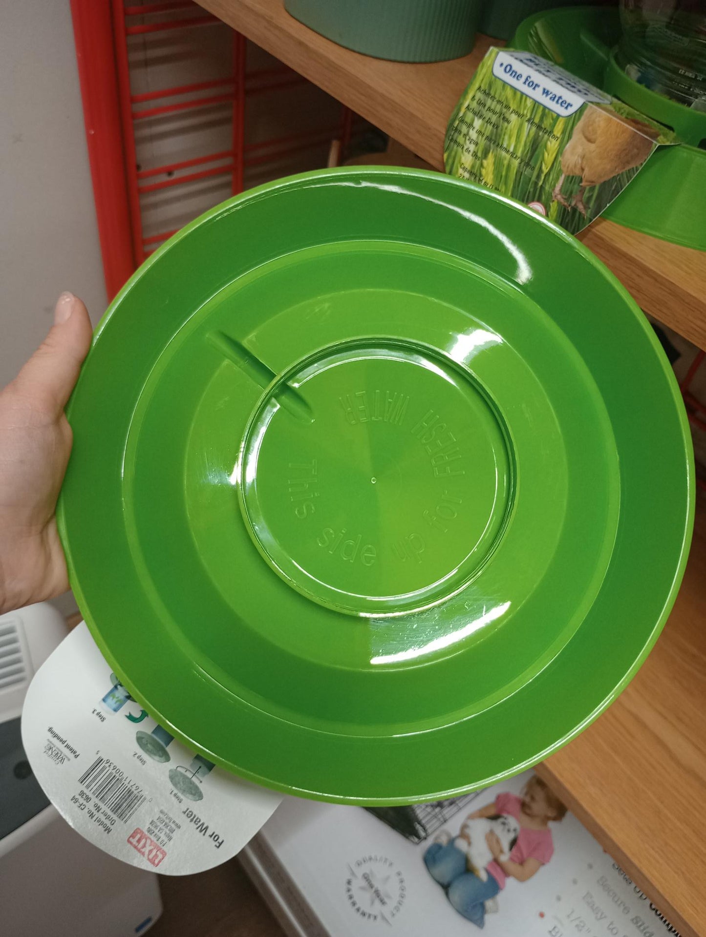 Poultry Feeder & Waterer, 64-oz