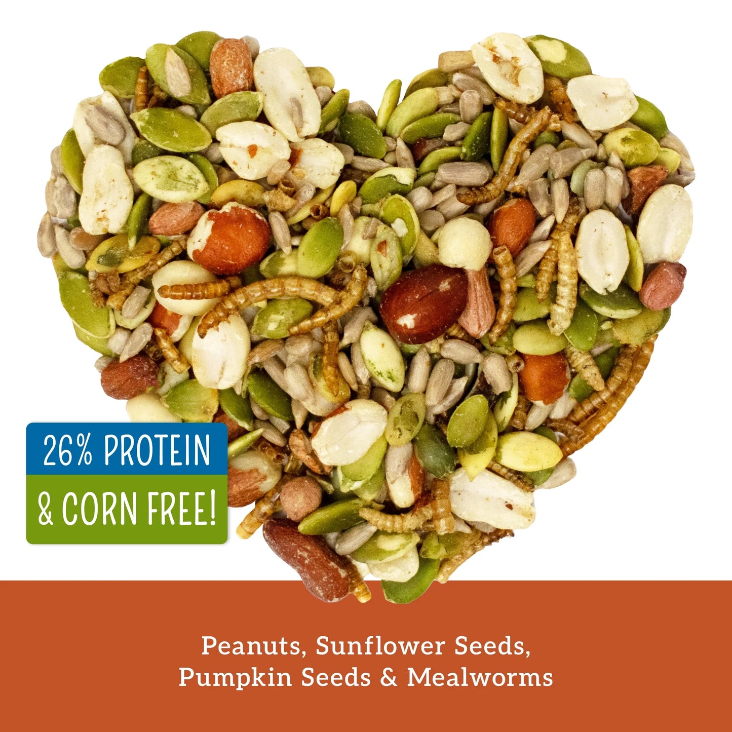 Pumpkin & Meal Worms