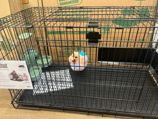 water and feeder set with cage